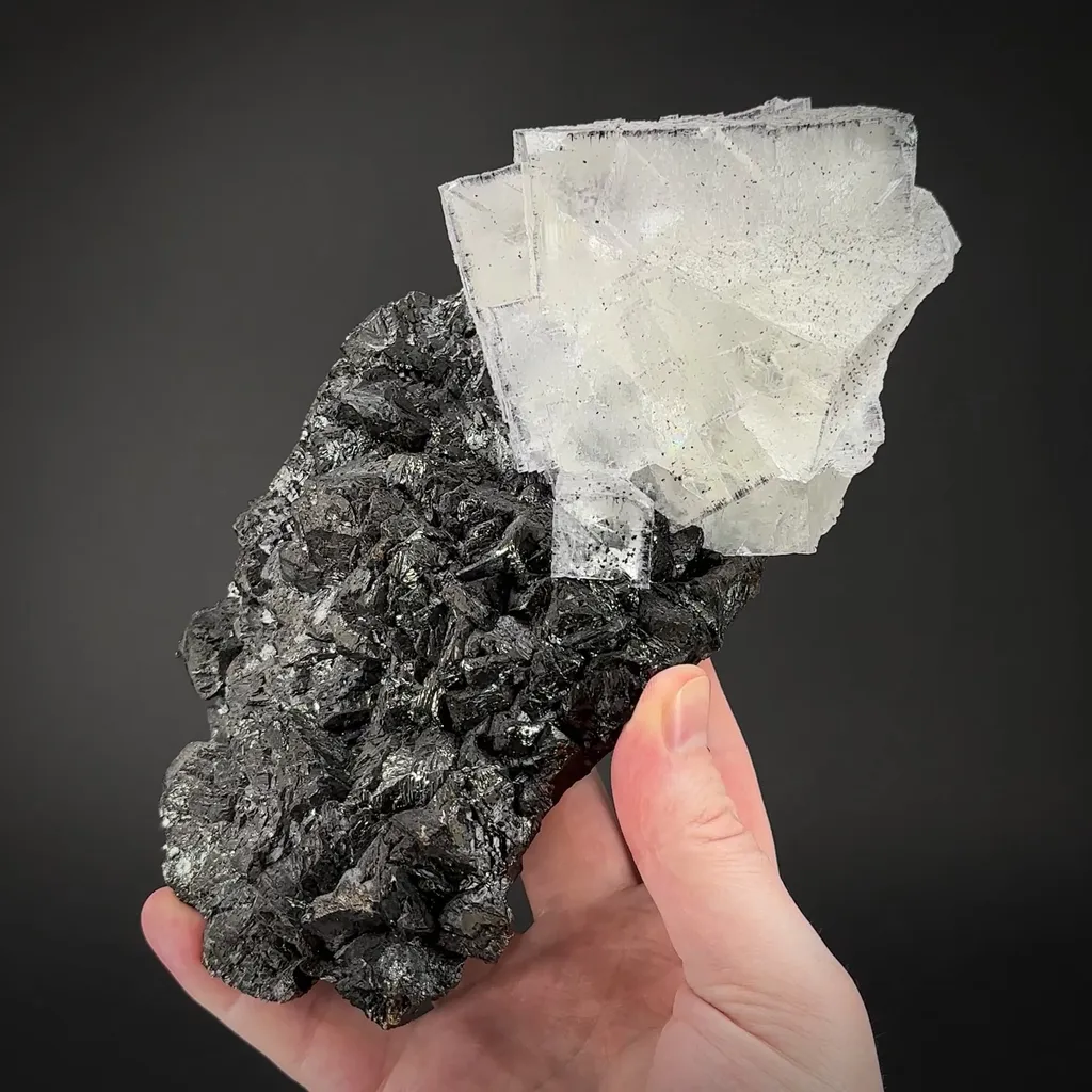 Fluorite on Sphalerite image