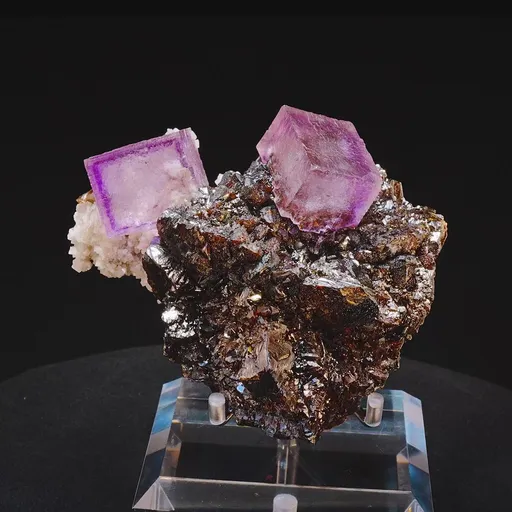 specimen video