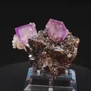 specimen video