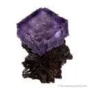 Fluorite on Sphalerite - image 1