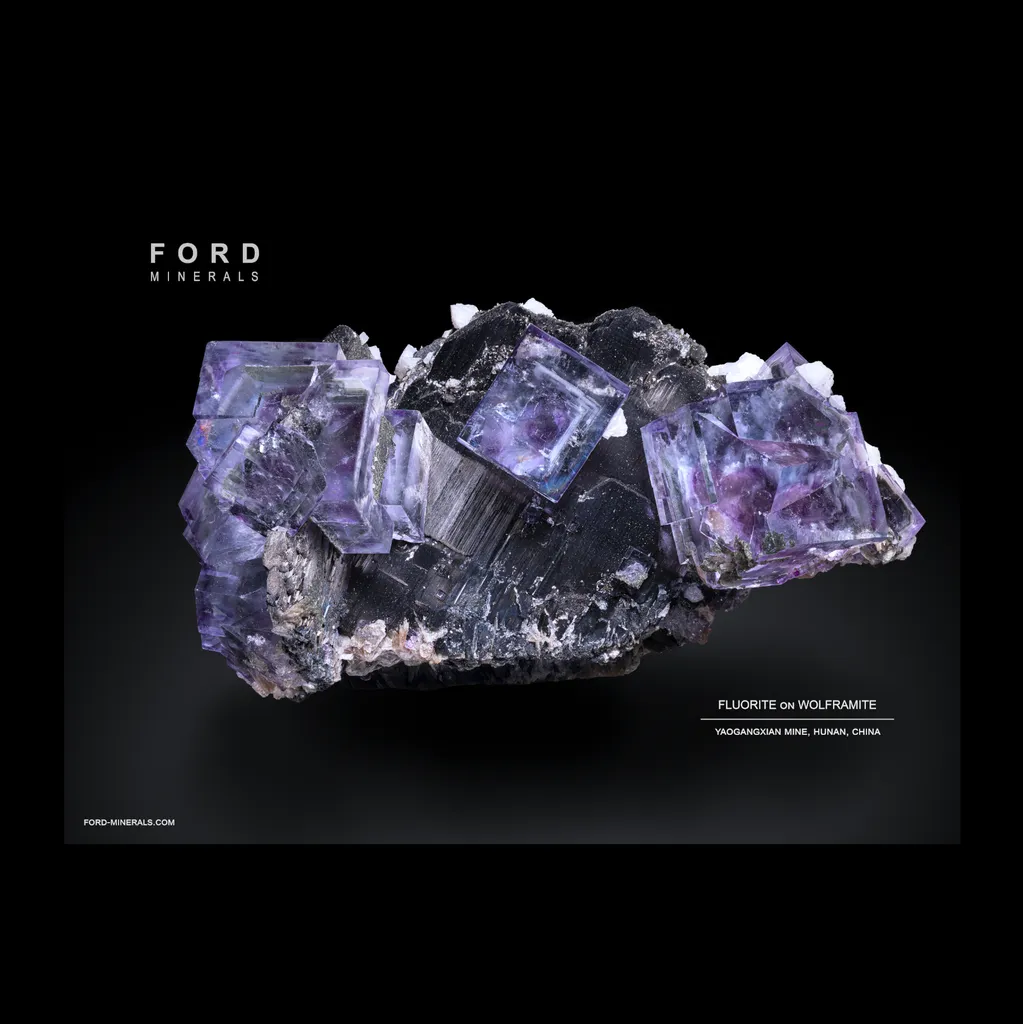 Fluorite on Wolframite image