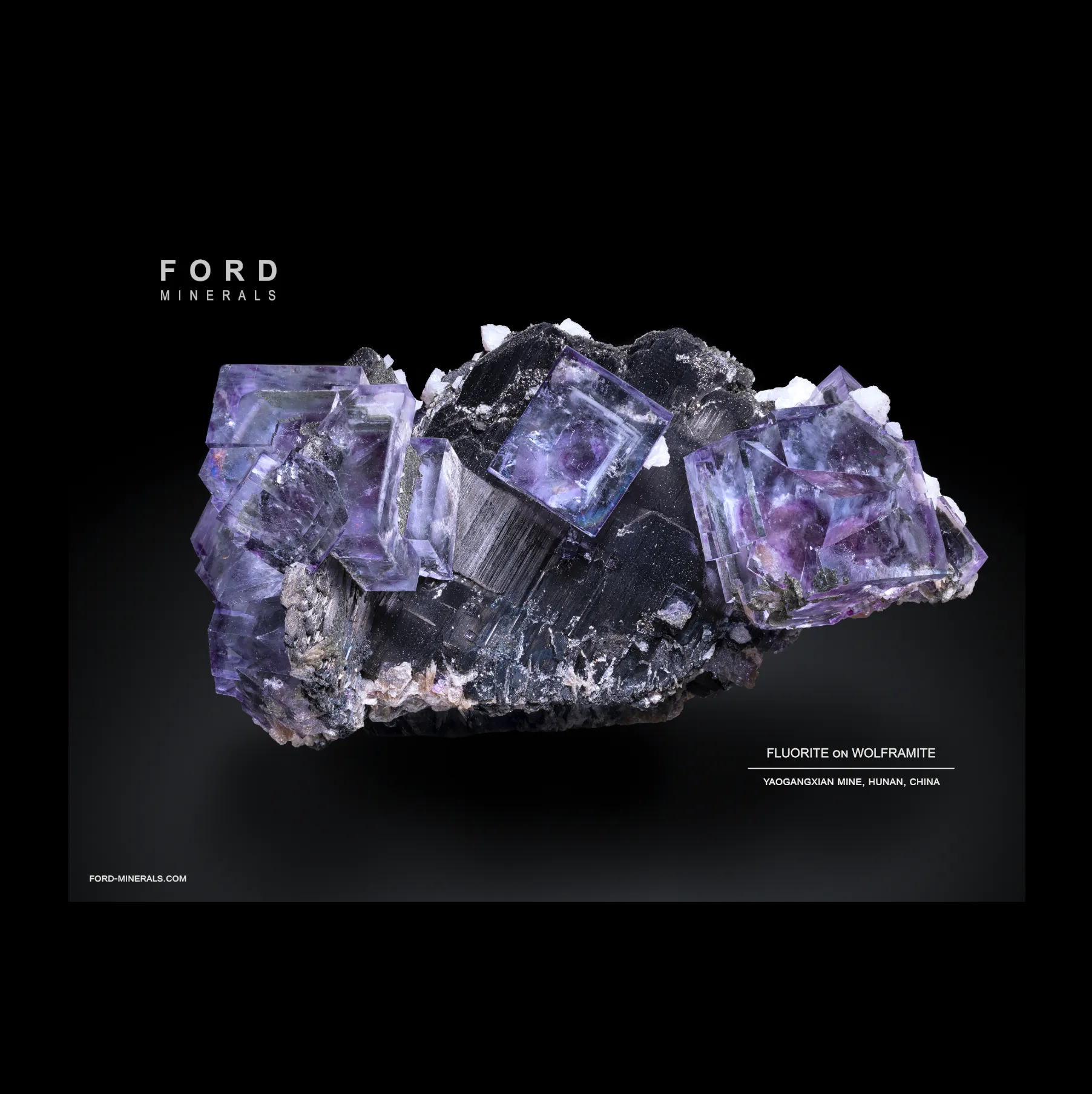 Fluorite on Wolframite - image 1