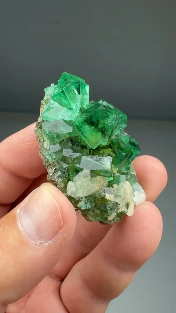 Fluorite (OXF-0024) image