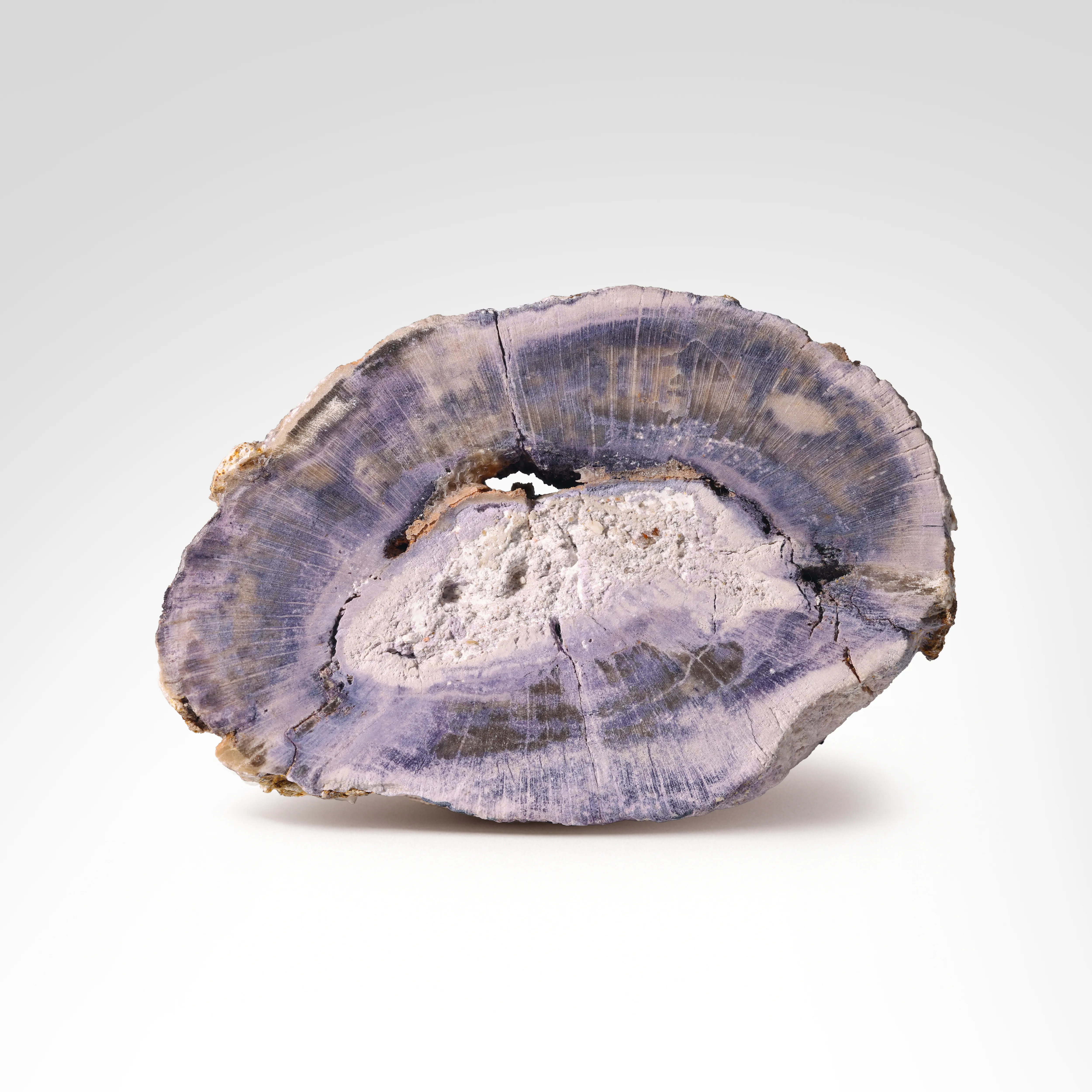 Fluorite ps. Petrified Wood from Germany - image 1