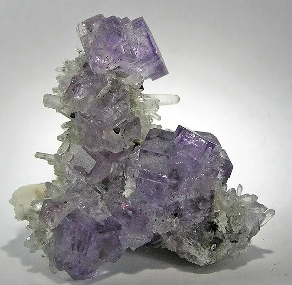 Fluorite, Quartz image