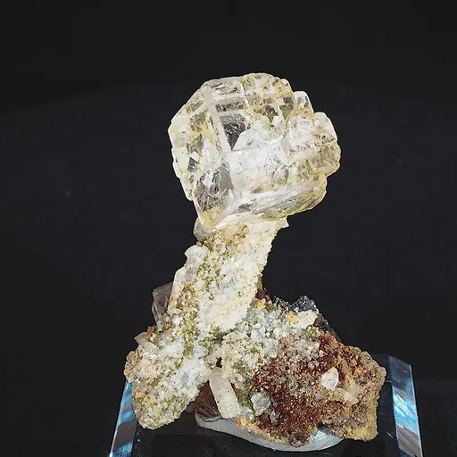specimen video