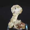 specimen video