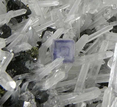 Fluorite, Quartz image