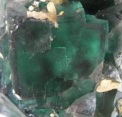 Fluorite, Quartz - image 2