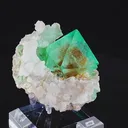 specimen video