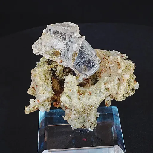 specimen video