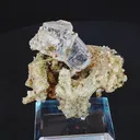specimen video