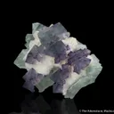 Fluorite, Quartz on Fluorite - image 3
