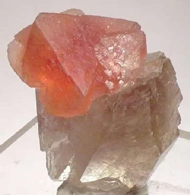 Fluorite, Quartz (Var: Smoky Quartz) image