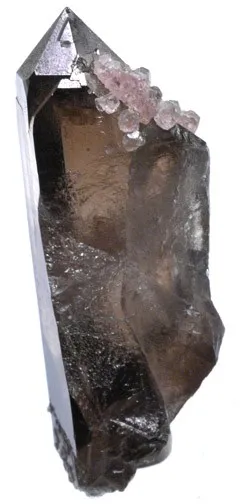 Fluorite, Quartz (Var: Smoky Quartz) image