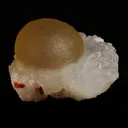 Fluorite (rare botryoidal) on Quartz  Natural Mineral Specimen - image 3