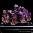 Fluorite (red fluorescence) (Miguel Romero award winner) - image 5