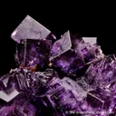 Fluorite (red fluorescence) (Miguel Romero award winner) - image 3