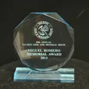 Fluorite (red fluorescence) (Miguel Romero award winner) - image 7