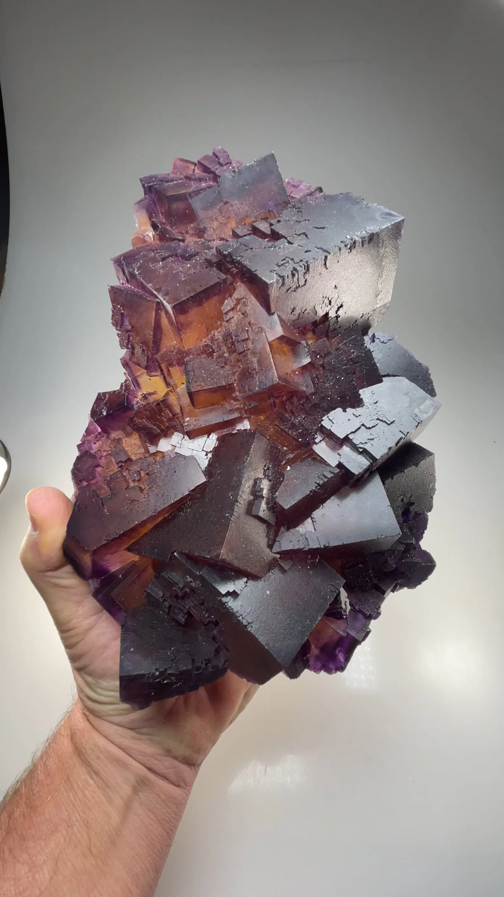 Fluorite (restored) - image 2
