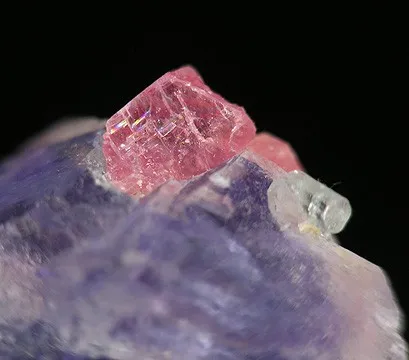 Fluorite, Rhodochrosite, Apatite-(Caf) - image 2