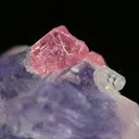 Fluorite, Rhodochrosite, Apatite-(Caf) - image 2