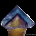 Fluorite scepter - image 4