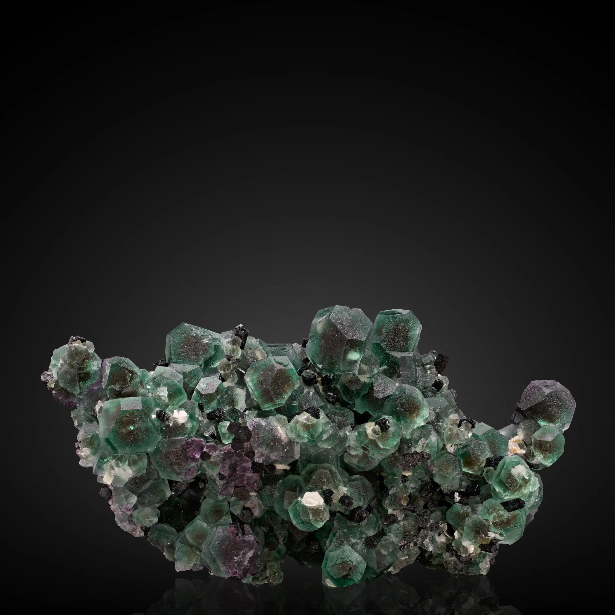 Fluorite, Schorl - image 1