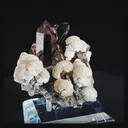 specimen video