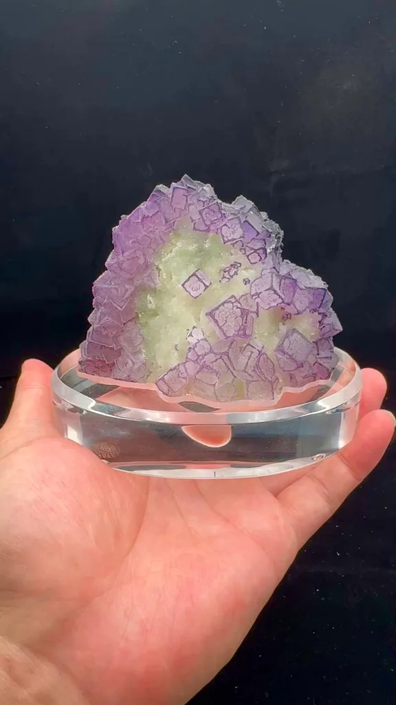 specimen video