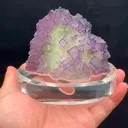 specimen video