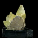 specimen video