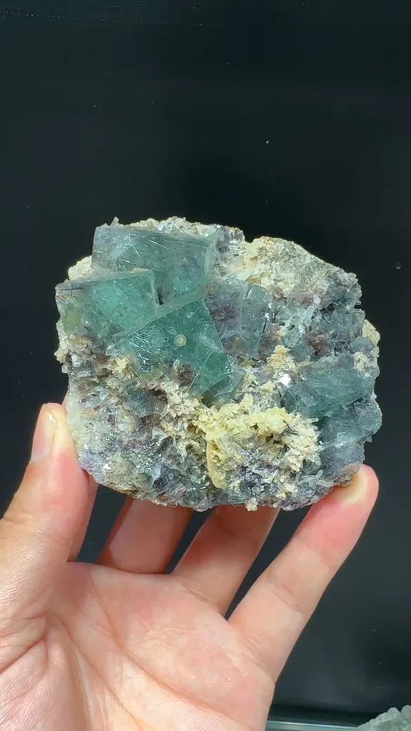 specimen video