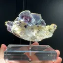 specimen video