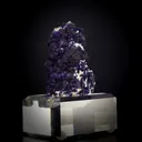 specimen video