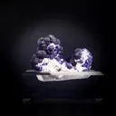specimen video
