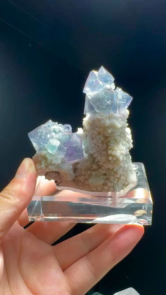 specimen video