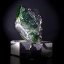 specimen video