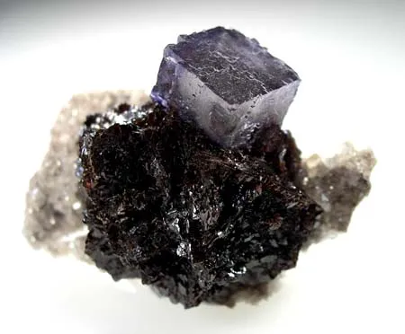 Fluorite, Sphalerite image