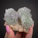 Fluorite (Spinel twinned) on Muscovite - image 2