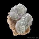 Fluorite (Spinel twinned) on Muscovite - image 6