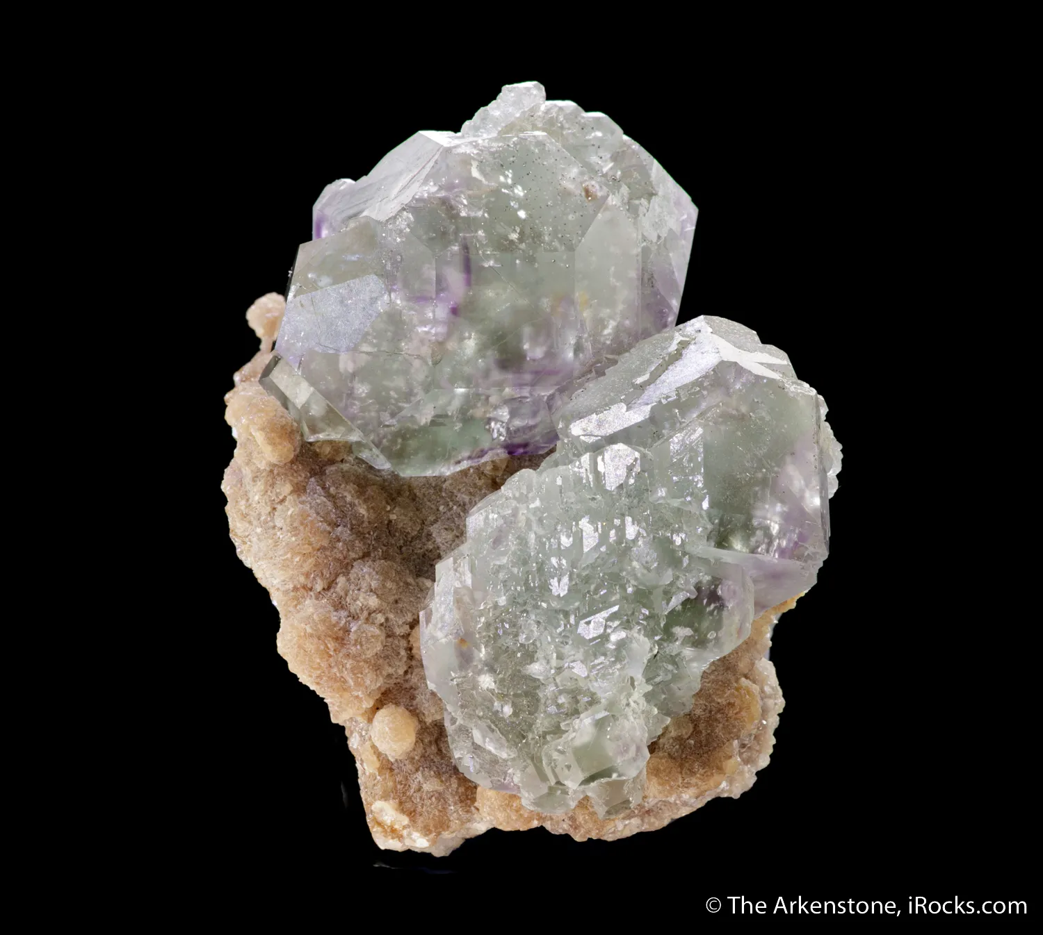 Fluorite (Spinel twinned) on Muscovite - image 6
