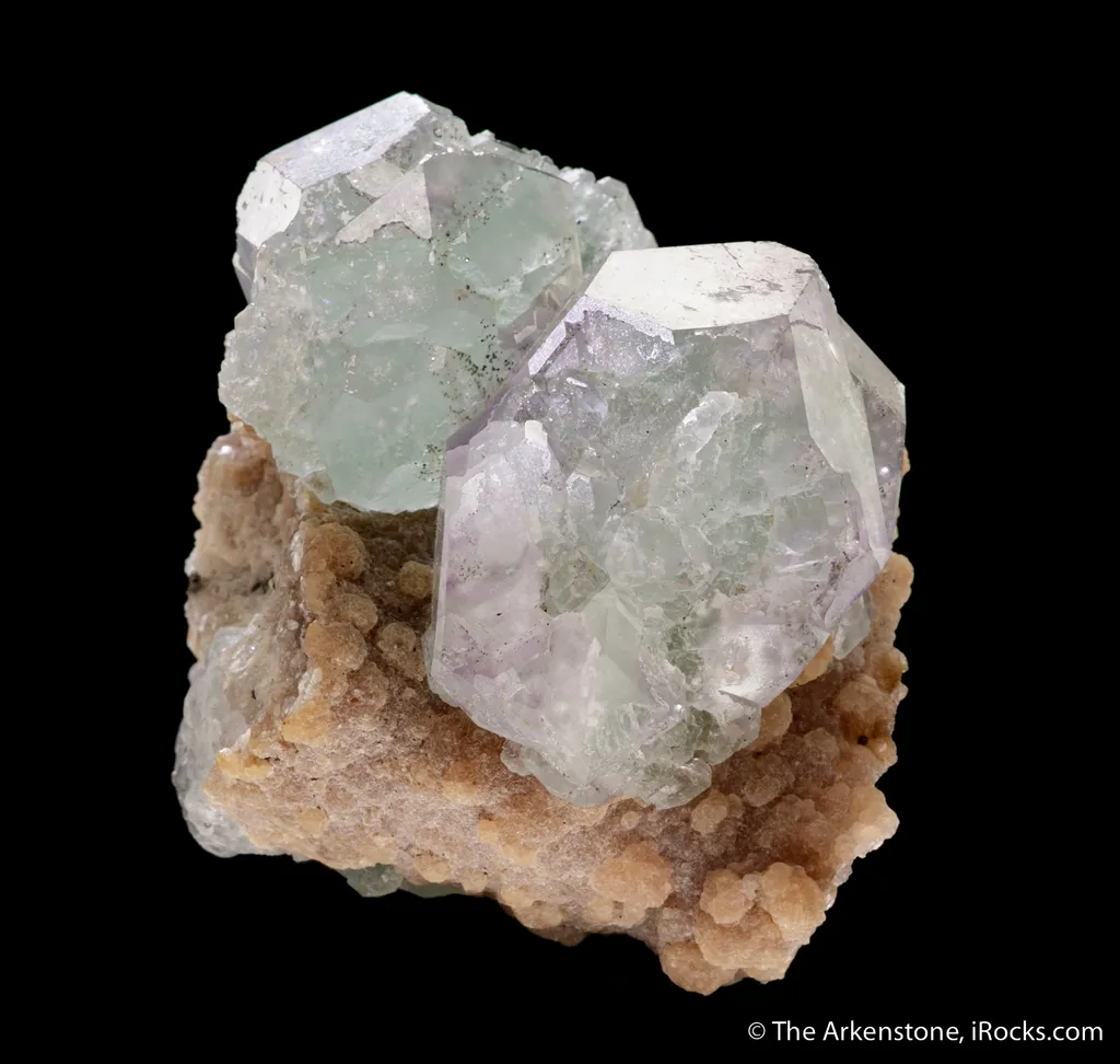 Fluorite (Spinel twinned) on Muscovite image