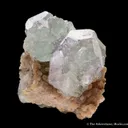 Fluorite (Spinel twinned) on Muscovite - image 1