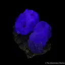 Fluorite (Spinel twinned) on Muscovite - image 8