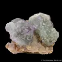 Fluorite (Spinel twinned) on Muscovite - image 7
