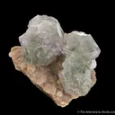 Fluorite (Spinel twinned) on Muscovite - image 5