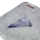 Fluorite (Spinel twinned) with liquid inclusion - image 3