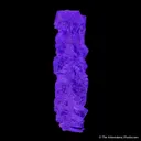 Fluorite stalactite - image 5