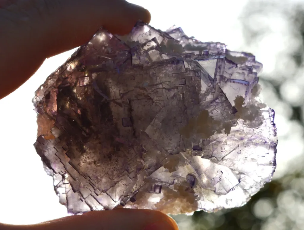 Fluorite & Strontianite 327 grams - Melchor Múzquiz, Múzquiz Municipality, Coahuila, Mexico - image 6